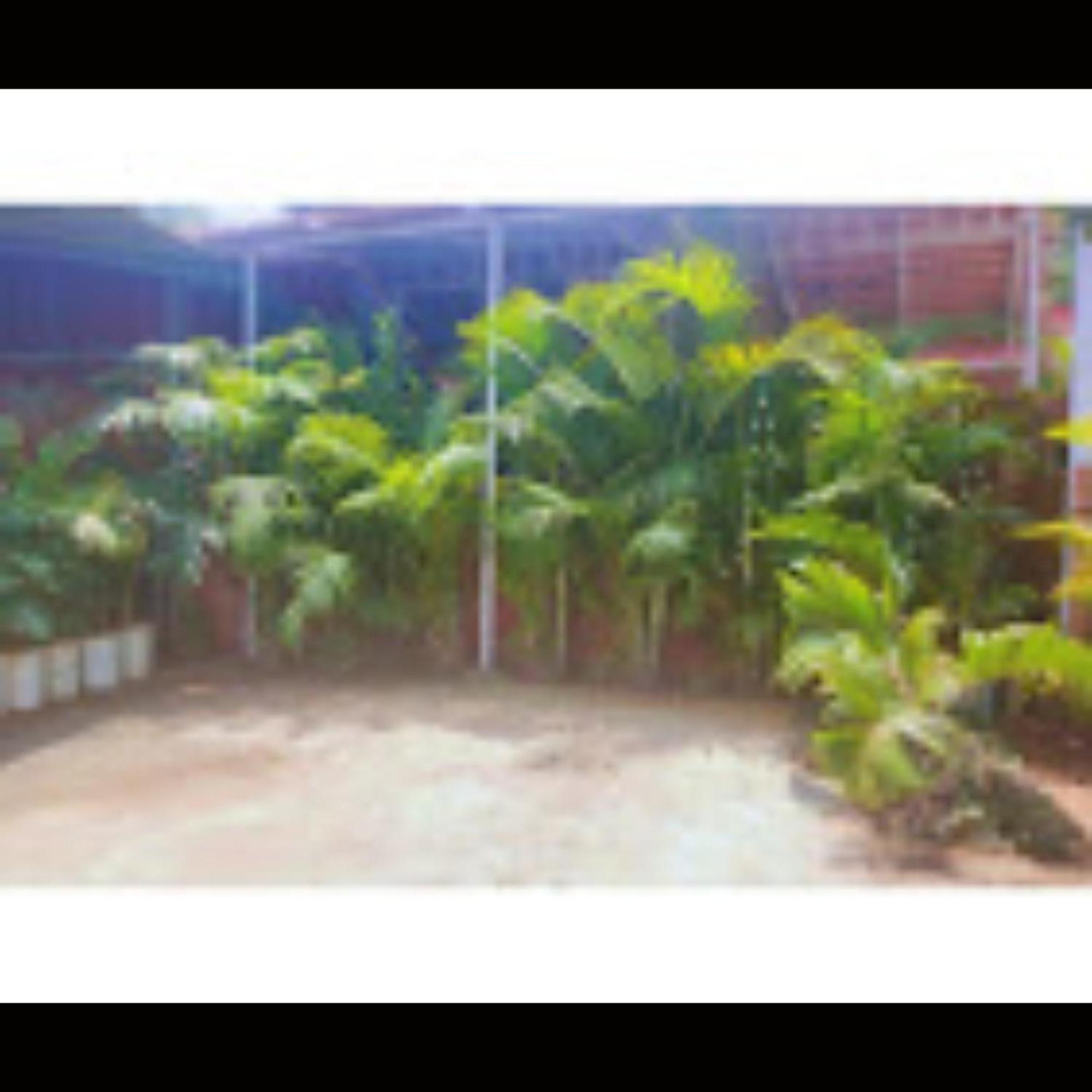 Strawberry County Panchgani Exterior foto