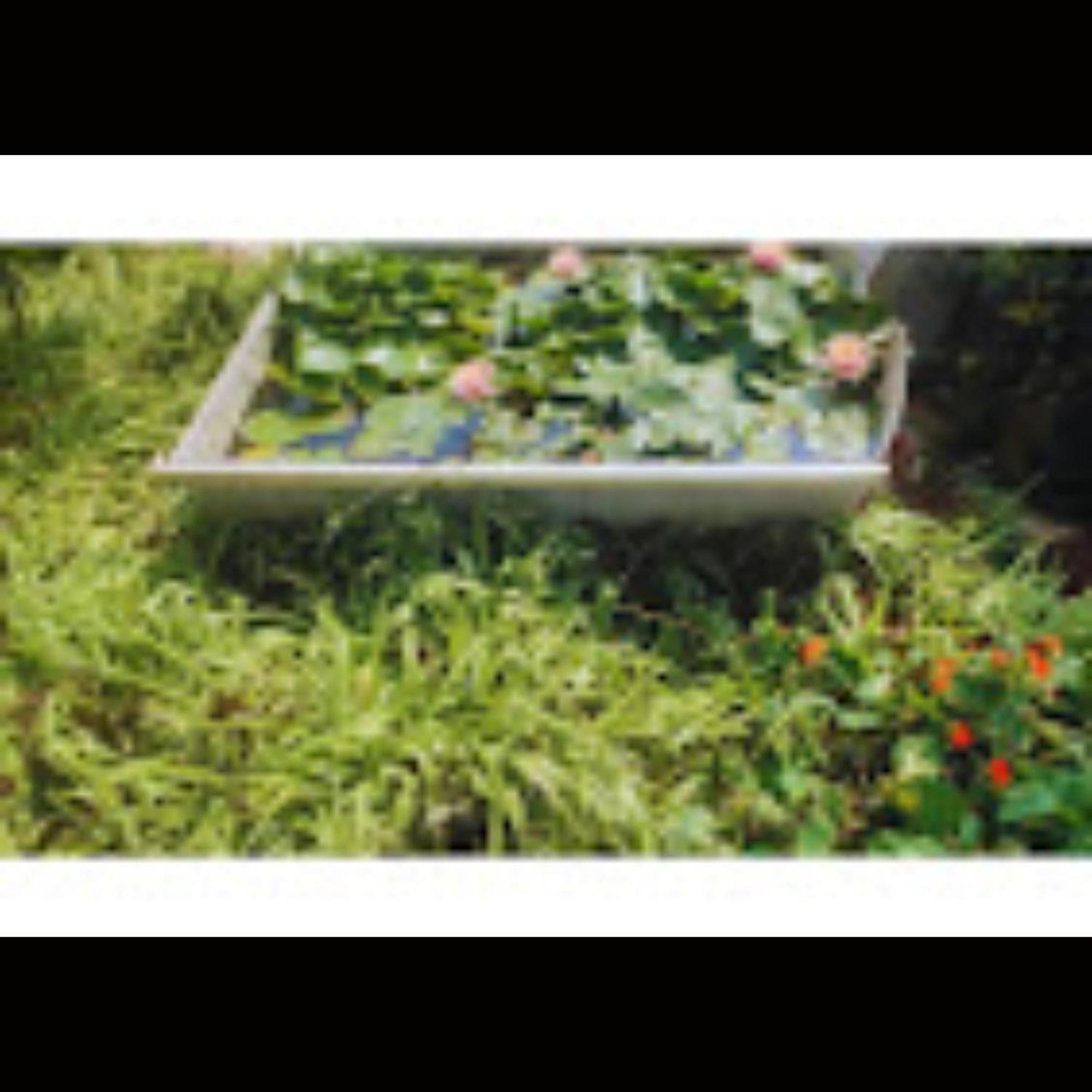 Strawberry County Panchgani Exterior foto