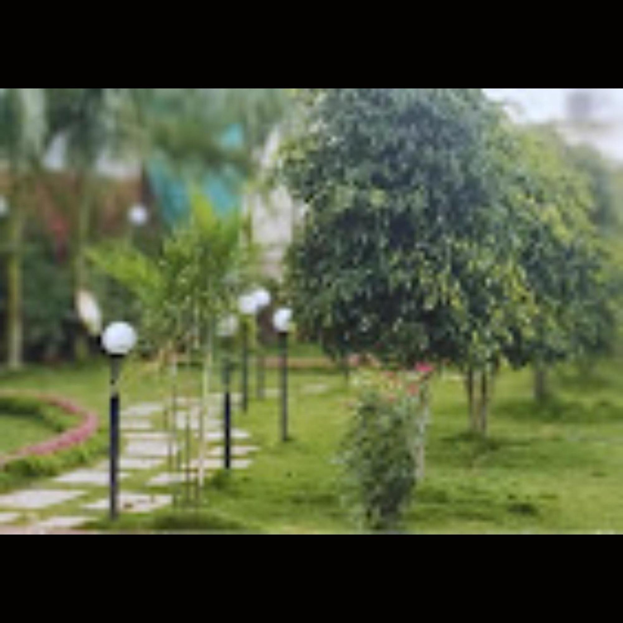 Strawberry County Panchgani Exterior foto